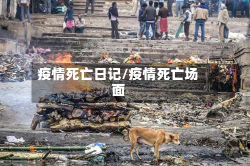 疫情死亡日记/疫情死亡场面-第2张图片