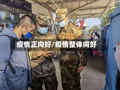 疫情正向好/疫情整体向好