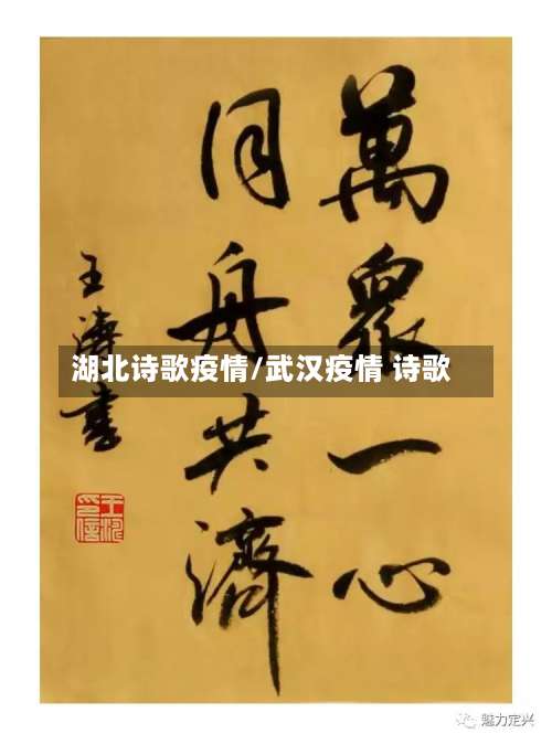 湖北诗歌疫情/武汉疫情 诗歌-第2张图片