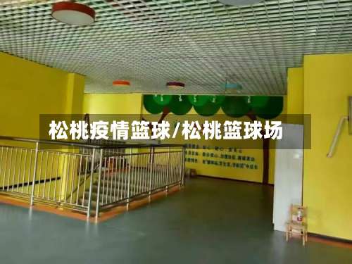 松桃疫情篮球/松桃篮球场
