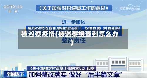被巡察疫情(被巡察组查到怎么办)-第2张图片