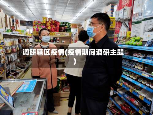 调研辖区疫情(疫情期间调研主题)