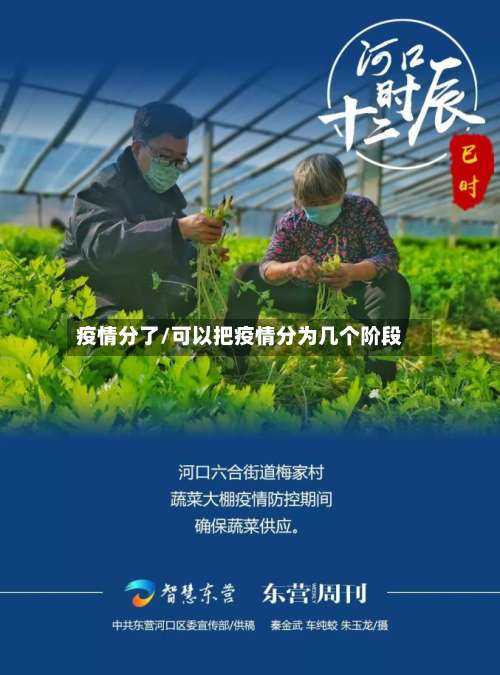 疫情分了/可以把疫情分为几个阶段-第2张图片