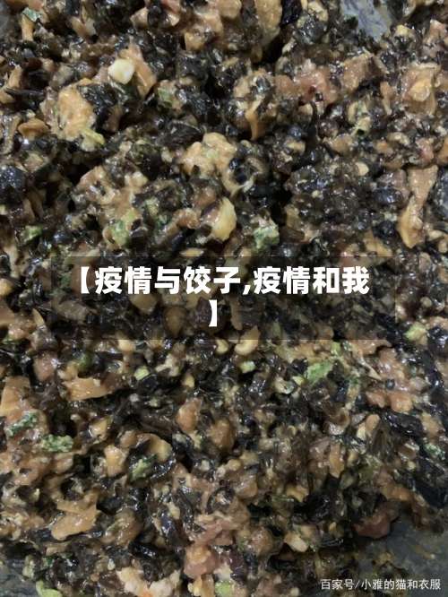 【疫情与饺子,疫情和我】-第2张图片