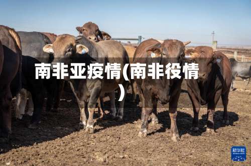 南非亚疫情(南非役情)-第2张图片