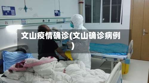 文山疫情确诊(文山确诊病例)-第3张图片