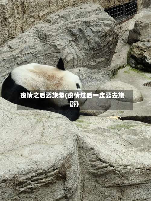 疫情之后要旅游(疫情过后一定要去旅游)-第2张图片