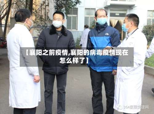【襄阳之前疫情,襄阳的病毒疫情现在怎么样了】-第2张图片