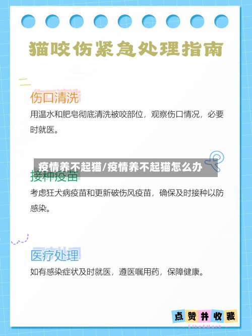 疫情养不起猫/疫情养不起猫怎么办