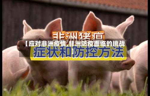 【应对非洲疫情,非洲防疫面临的挑战】-第2张图片