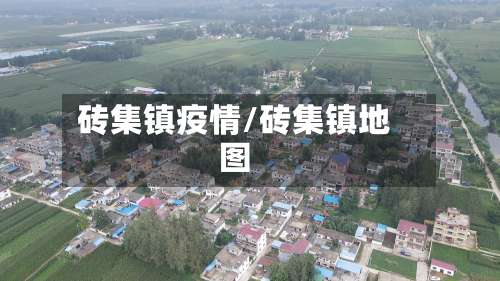 砖集镇疫情/砖集镇地图