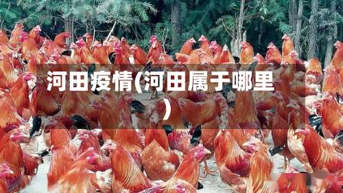 河田疫情(河田属于哪里)-第3张图片