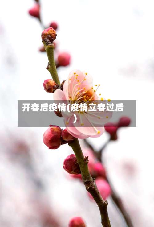 开春后疫情(疫情立春过后)