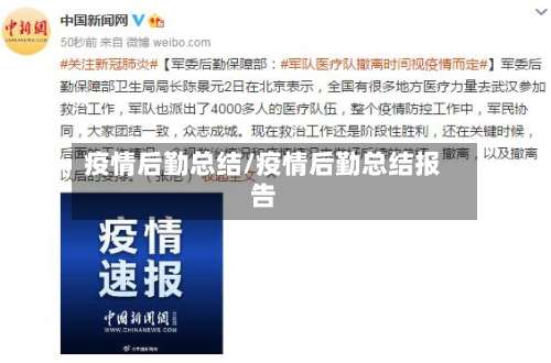 疫情后勤总结/疫情后勤总结报告-第2张图片