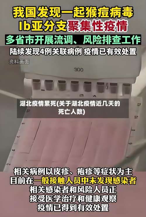 湖北疫情累死(关于湖北疫情近几天的死亡人数)