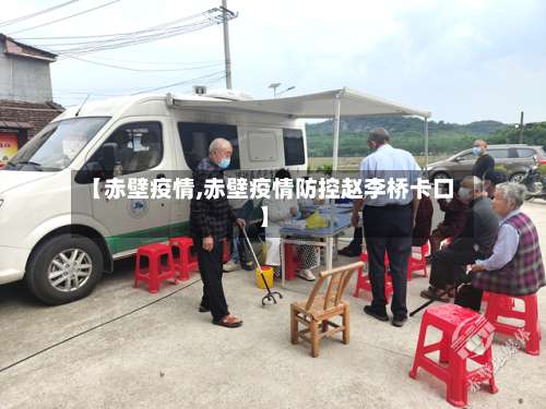 【赤壁疫情,赤壁疫情防控赵李桥卡口】