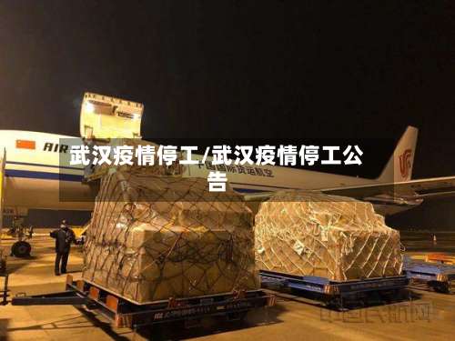 武汉疫情停工/武汉疫情停工公告