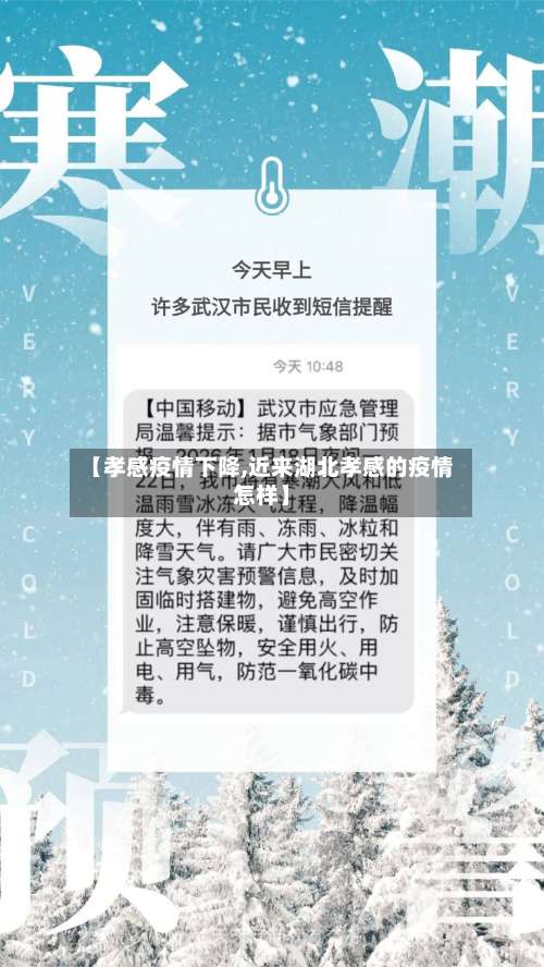 【孝感疫情下降,近来湖北孝感的疫情怎样】-第2张图片