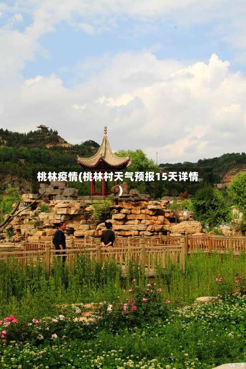 桃林疫情(桃林村天气预报15天详情)