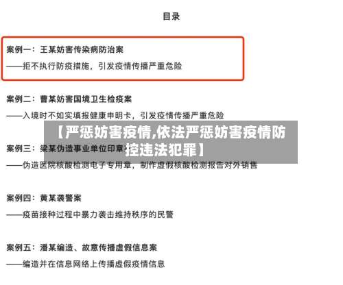 【严惩妨害疫情,依法严惩妨害疫情防控违法犯罪】-第2张图片