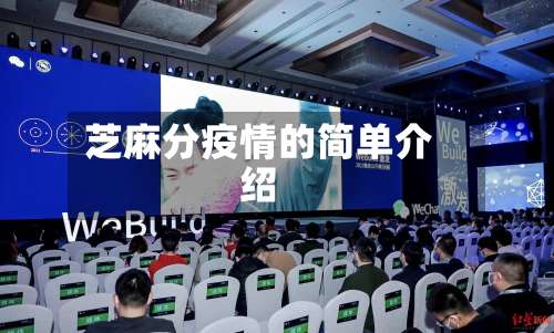 芝麻分疫情的简单介绍-第3张图片