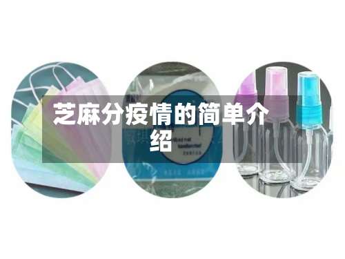 芝麻分疫情的简单介绍