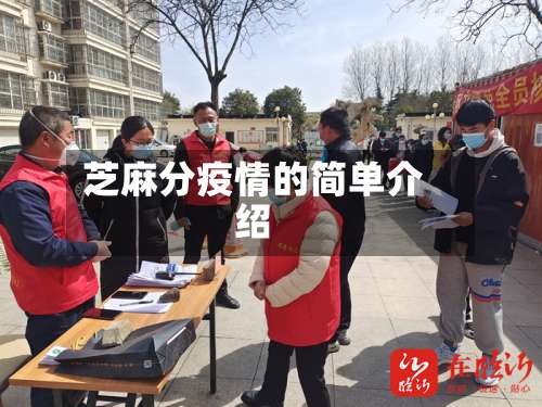芝麻分疫情的简单介绍-第2张图片