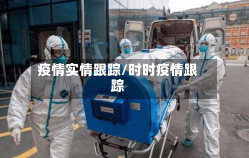 疫情实情跟踪/时时疫情跟踪-第2张图片
