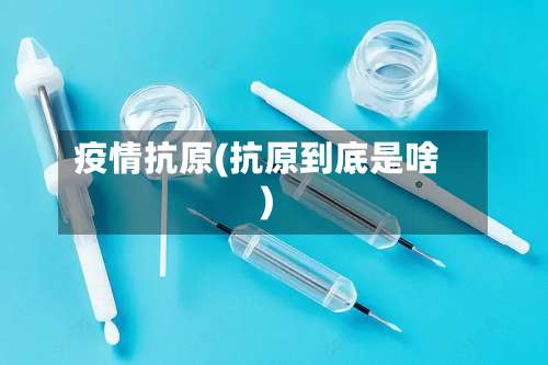 疫情抗原(抗原到底是啥)