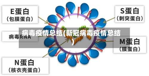 病毒疫情总结(新冠病毒疫情总结)-第3张图片