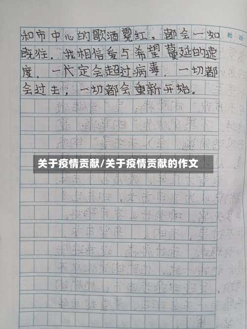 关于疫情贡献/关于疫情贡献的作文