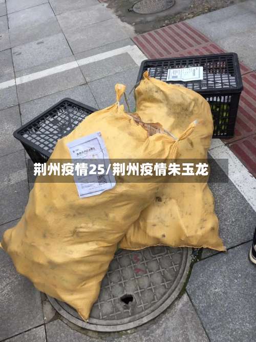荆州疫情25/荆州疫情朱玉龙