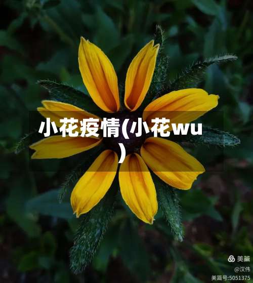 小花疫情(小花wu)-第3张图片