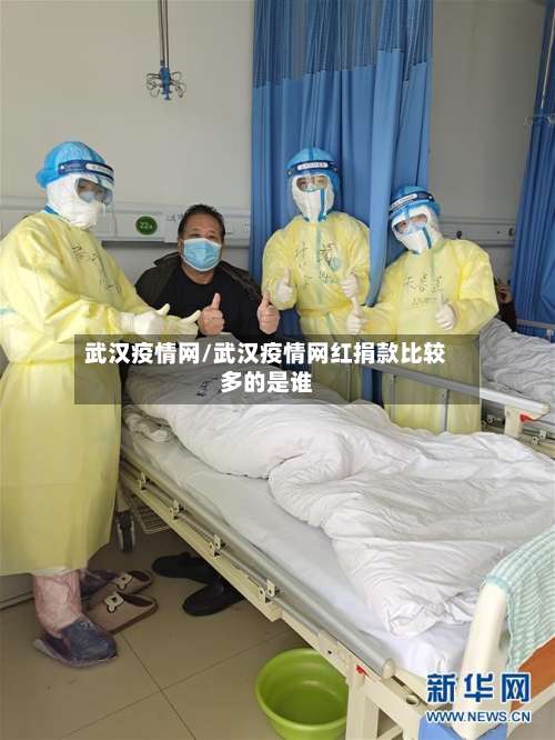 武汉疫情网/武汉疫情网红捐款比较多的是谁-第2张图片