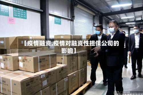 【疫情融资,疫情对融资性担保公司的影响】-第2张图片