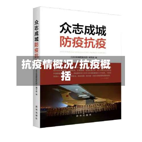 抗疫情概况/抗疫概括