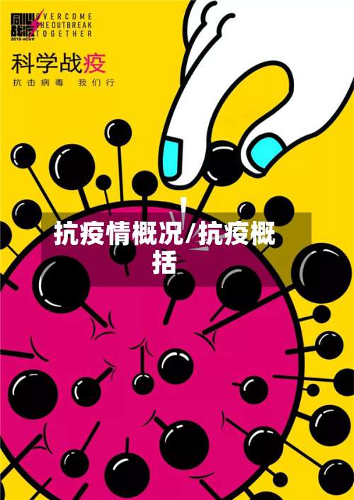 抗疫情概况/抗疫概括-第2张图片
