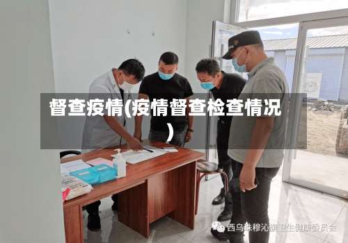 督查疫情(疫情督查检查情况)-第3张图片