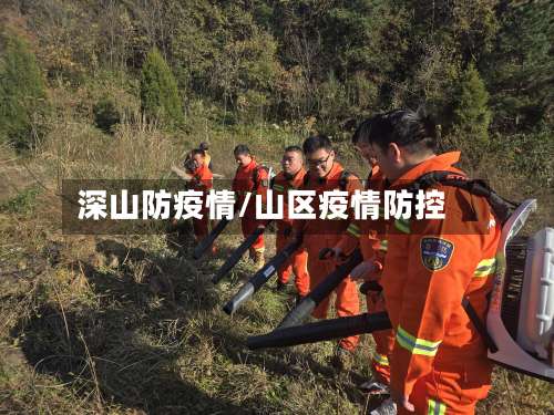 深山防疫情/山区疫情防控-第1张图片