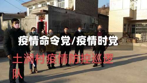 疫情命令党/疫情时党