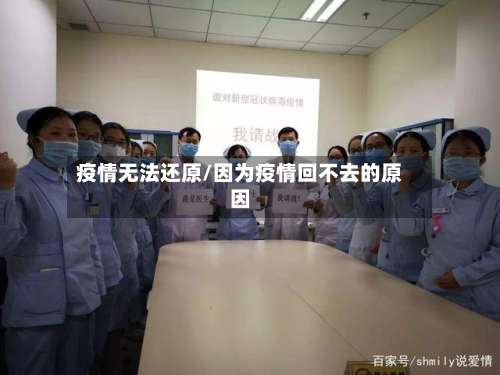 疫情无法还原/因为疫情回不去的原因