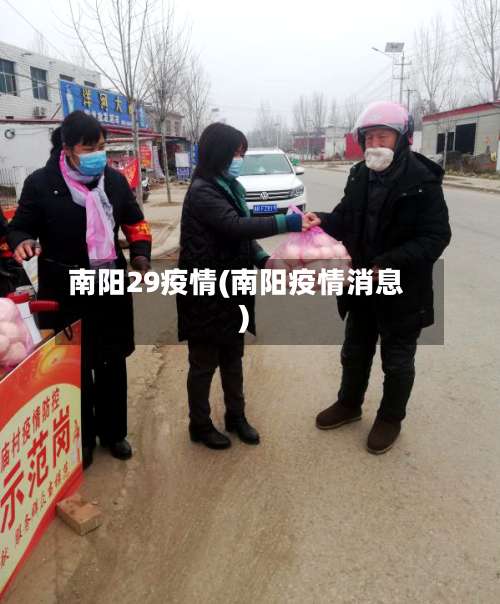 南阳29疫情(南阳疫情消息)