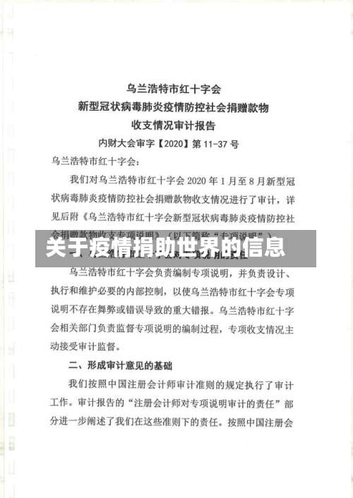 关于疫情捐助世界的信息