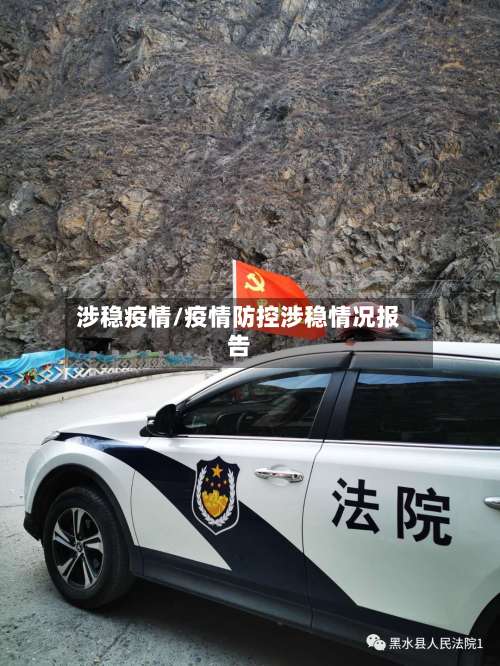 涉稳疫情/疫情防控涉稳情况报告-第2张图片