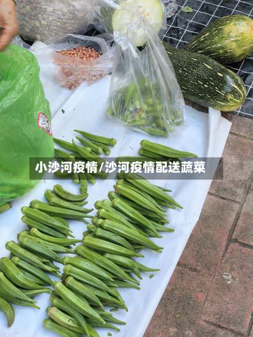 小沙河疫情/沙河疫情配送蔬菜