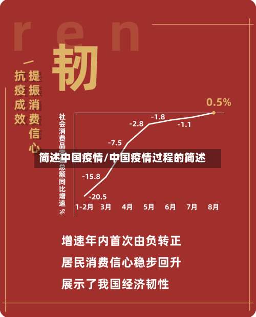 简述中国疫情/中国疫情过程的简述-第2张图片
