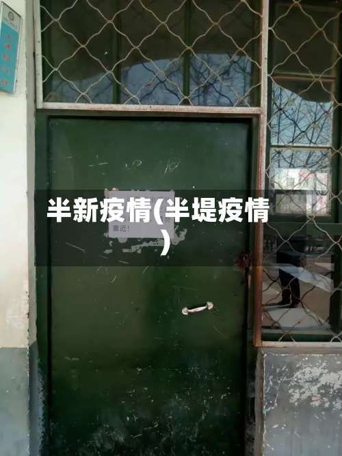半新疫情(半堤疫情)-第2张图片