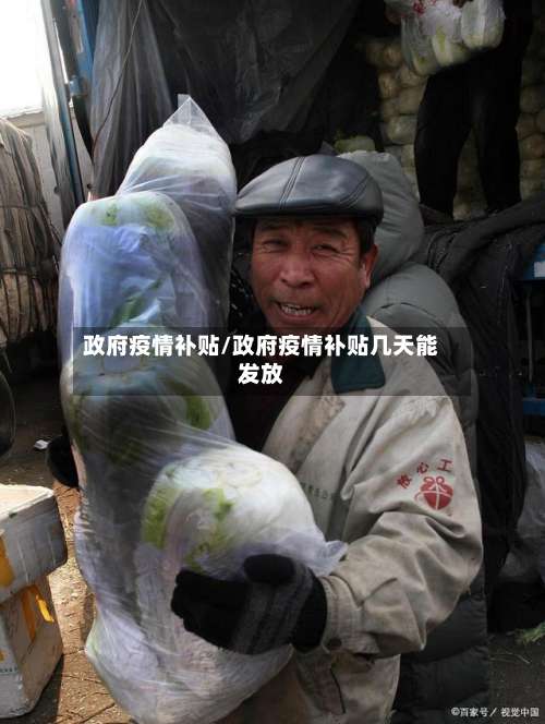 政府疫情补贴/政府疫情补贴几天能发放-第2张图片