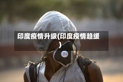 印度疫情升级(印度疫情趋缓)-第2张图片