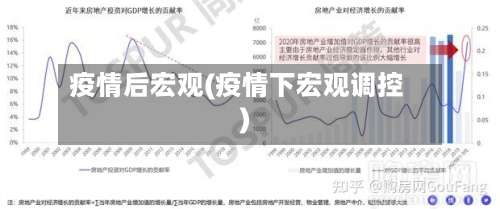 疫情后宏观(疫情下宏观调控)